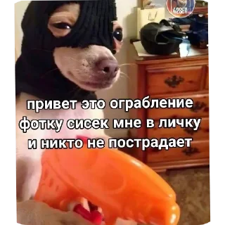 🖼 emoji dvnv және онын жақын достары Telegram sticker 23 of 25
