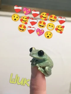Sticker from Лягушки @Cumiko
