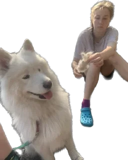 🐶 emoji Мамми на связи🤙😼 Telegram sticker 17 of 19