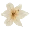 🤩 emoji н33жныꫀ 𓂃bყ @wdrlouw 。 @TgEmodziBot Telegram sticker 15 of 18