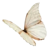 🤩 emoji н33жныꫀ 𓂃bყ @wdrlouw 。 @TgEmodziBot Telegram sticker 3 of 18