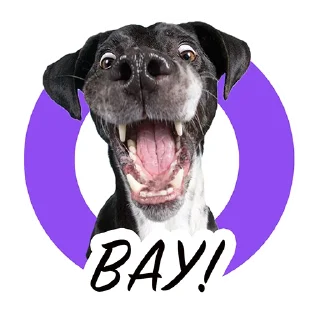 Sticker from Dogito
