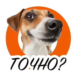 Sticker from Dogito