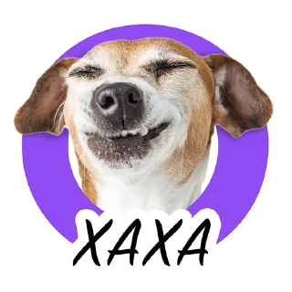 Sticker from Dogito