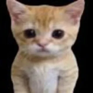 🌟 emoji Больше стиков тут: @stikery4 Telegram sticker 24 of 98