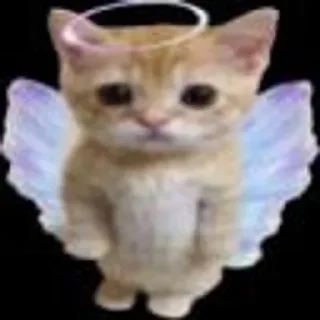 🌟 emoji Больше стиков тут: @stikery4 Telegram sticker 6 of 98