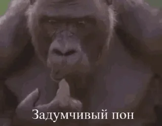 🌟 emoji мемы 2023 с банановым вкусом Telegram sticker 21 of 56