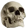🤩 emoji кладбище @stwqiit @solya1n Telegram sticker 5 of 18
