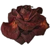 🤩 emoji кладбище @stwqiit @solya1n Telegram sticker 11 of 18