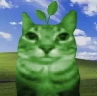 Ректальный криптоанализ sticker 4