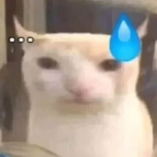 😰 emoji Новокотийская Республика pack by @QuotLyBot Telegram sticker 14 of 21
