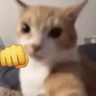 😾 emoji Новокотийская Республика pack by @QuotLyBot Telegram sticker 9 of 21