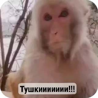 Sticker from Стикири