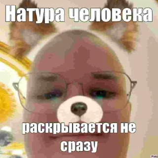 🤯 emoji Амёба позорится Telegram sticker 22 of 23