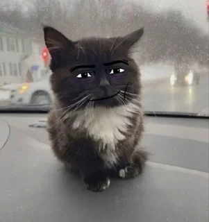 😏 emoji Кицька👾 Telegram sticker 10 of 15
