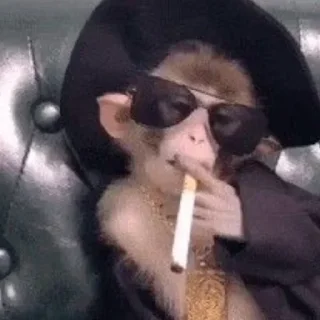 🚬 emoji Бибизяны ➡️ @Ctikerubot Telegram sticker 20 of 29