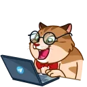 😂 emoji @gull_mva @DTOUserBot Paketi 1 animasyonlu Telegram sticker 7 of 48
