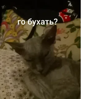 Sticker from Пуся джусся
