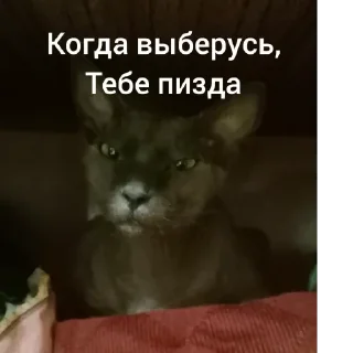 Sticker from Пуся джусся