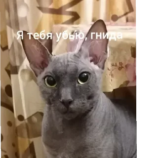 Sticker from Пуся джусся