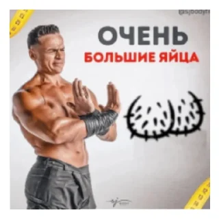 Sticker from Эсджейбоди пенисы