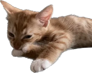 😊 emoji Отряд долбоебов2 Telegram sticker 12 of 90