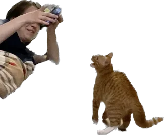 🙈 emoji Отряд долбоебов2 Telegram sticker 14 of 90