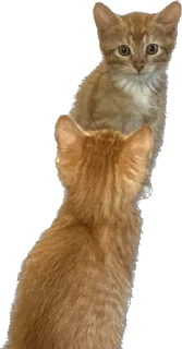😆 emoji Отряд долбоебов2 Telegram sticker 6 of 90