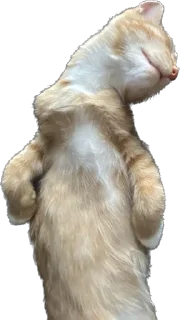 🥹 emoji Отряд долбоебов2 Telegram sticker 8 of 90