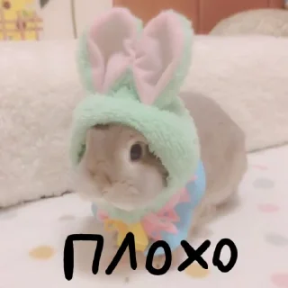 Sticker from Зайчики на все случаи жизни