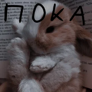 Sticker from Зайчики на все случаи жизни
