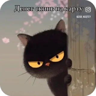 Sticker from Мемные Коты