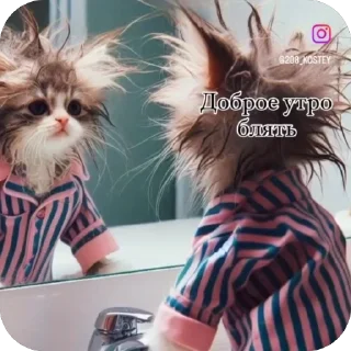 Sticker from Мемные Коты