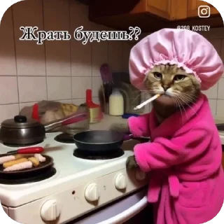 Sticker from Мемные Коты