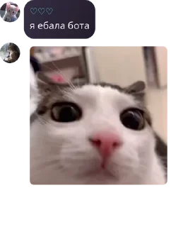 🩶 emoji спотик админы pack by @QuotLyBot Telegram sticker 18 of 109