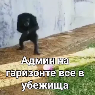 🤩 emoji @sticksbb <— больше стиков💓💘💞 Telegram sticker 19 of 34