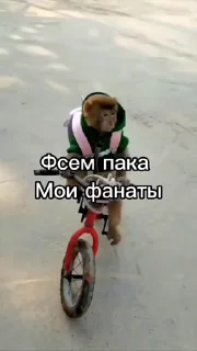 🤩 emoji @sticksbb <— больше стиков💓💘💞 Telegram sticker 8 of 34