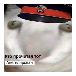😏 emoji Смешные Пикчи 2 @smechnie_pikchi Telegram sticker 22 of 60