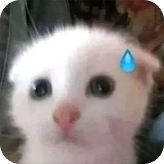 😓 emoji :3 by @daniusee Telegram sticker 19 of 37