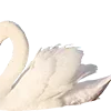 🧸 emoji @qolemip Telegram sticker 8 of 177