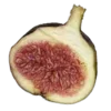 🍆 emoji @qolemip Telegram sticker 5 of 177
