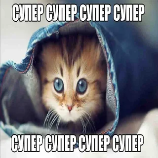 😇 emoji Стикеры @stickrubot @textmeru_bot Telegram sticker 12 of 87