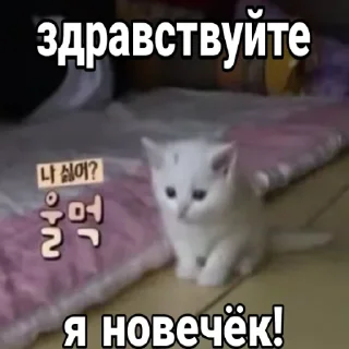 😂 emoji Стикеры @stickrubot @textmeru_bot Telegram sticker 1 of 87