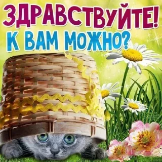 😏 emoji Стикеры @stickrubot @textmeru_bot Telegram sticker 6 of 87