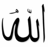 🌿 emoji @pokayaniye_islam Telegram sticker 1 of 109