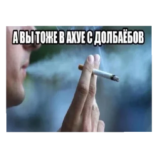 Sticker from Смешные пикчи @smechnie_pikchi
