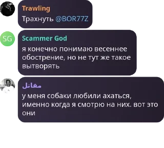 Sticker from Ишаки pack by @QuotLyBot