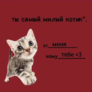 🐱 emoji мяу <3 Telegram sticker 15 of 111