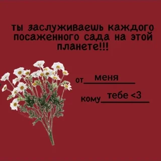 💐 emoji мяу <3 Telegram sticker 14 of 111