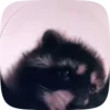 🌟 emoji Mem by @xenomenalno Telegram sticker 24 of 64